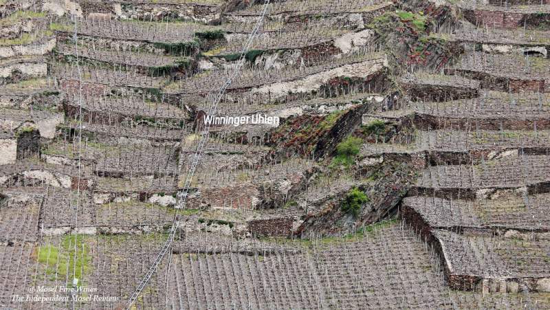 Weingut Heymann-Löwenstein | Winninger Uhlen | Vineyard | Weinberg | Photo | Foto