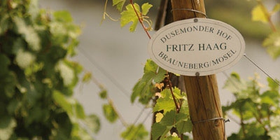 Weingut Fritz Haag | Brauneberger Juffer-Sonnenuhr | Vineyard | Weinberg | Picture | Foto