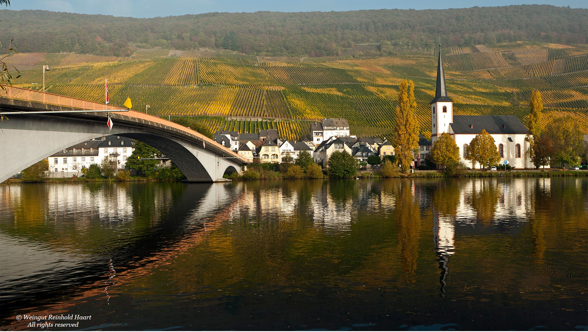 Weingut Reinhold Haart | Piesporter Goldtröpfchen Riesling Spätlese | Wine Label | Weinetikett