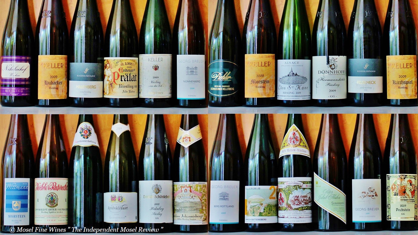 2009 Dry & OffDry Riesling A Progress Report