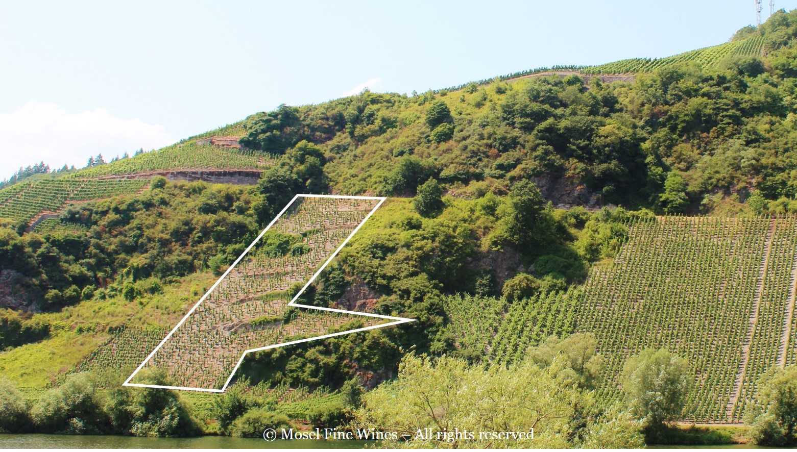 Dhroner Häs'chen Vineyard in the Mosel