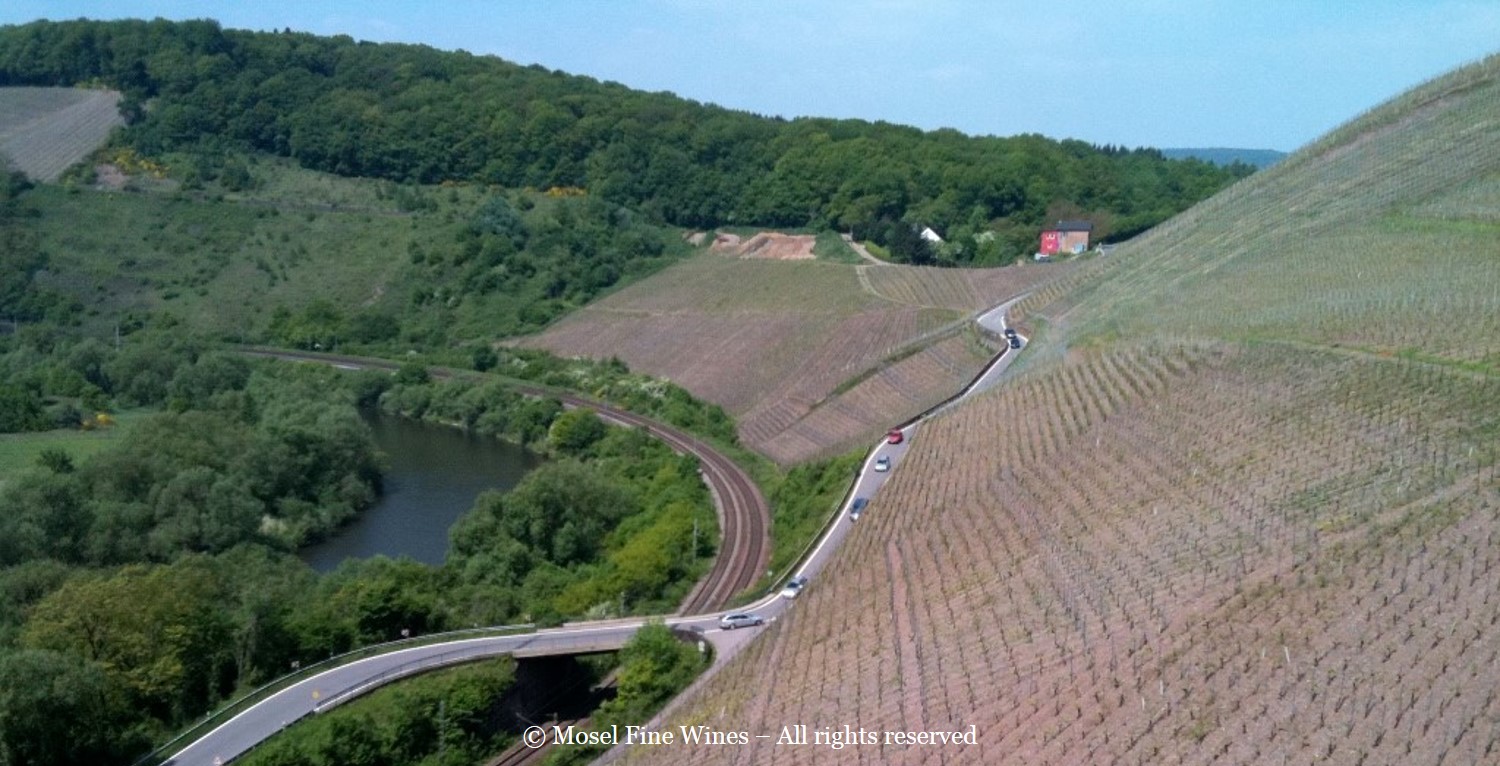 Wiltinger Kupp Vineyard in the Saar