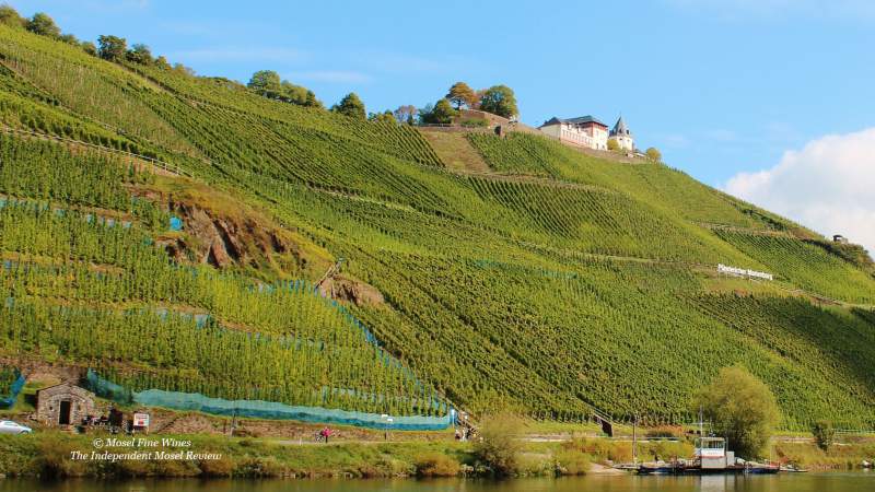 WeingutClemens Busch | Pünderich | | Marienburg | Fahrlay | Grosse Lage | Bild