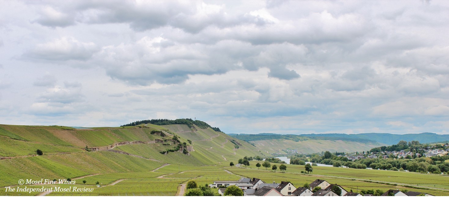 Weingut Fritz Haag | Brauneberger Juffer | Vineyard Picture