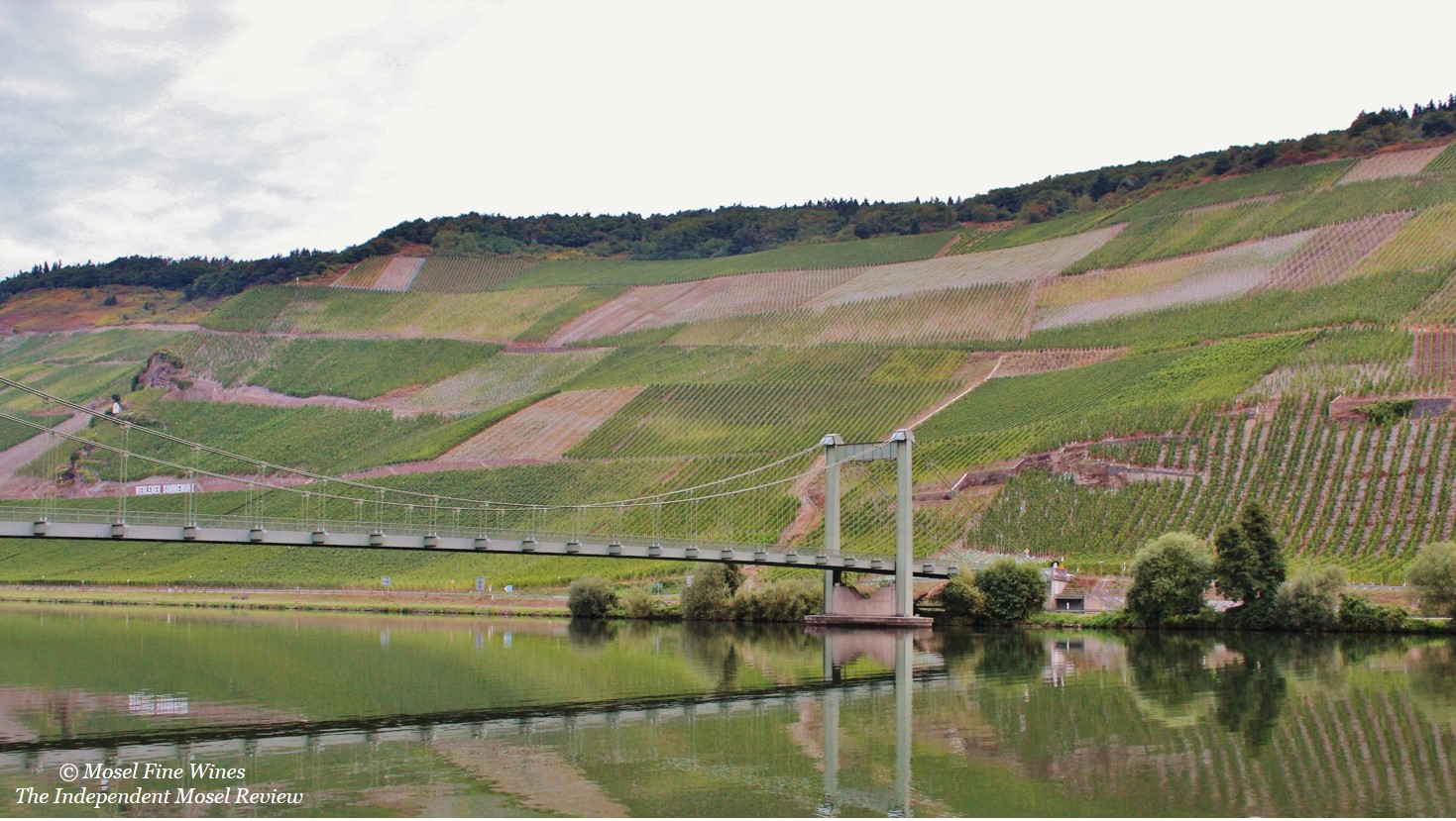 Weingut Jos. Jos. Prüm | Wehlener Sonnenuhr | Vineyard Picture