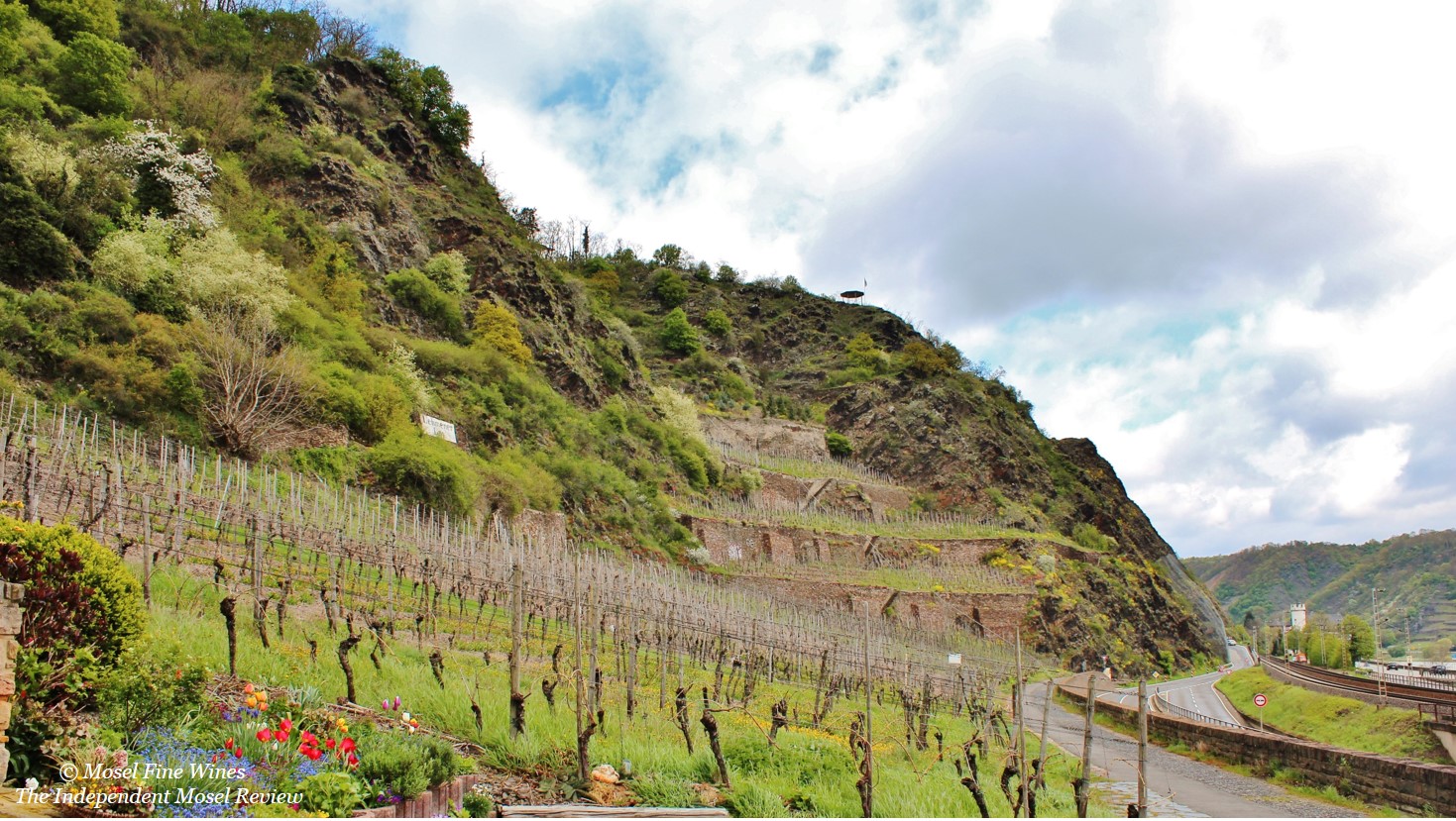 Weingut Materne & Schmitt | Lehmener Lay | Vineyard | Picture | Weinberg | Bild