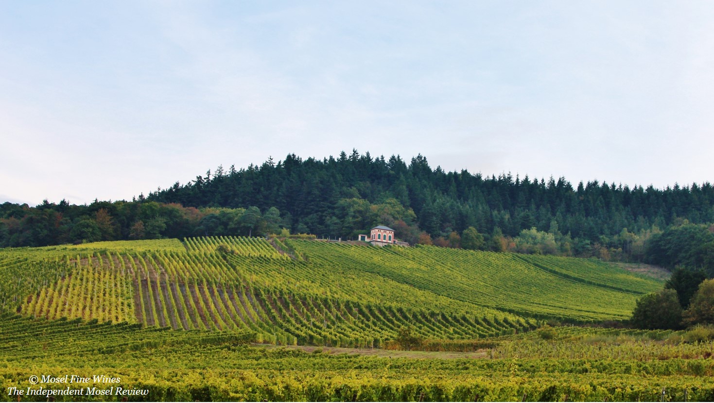 Weingut Max Ferd. Richter | Vineyard Photo | Veldenzer Elisenberg