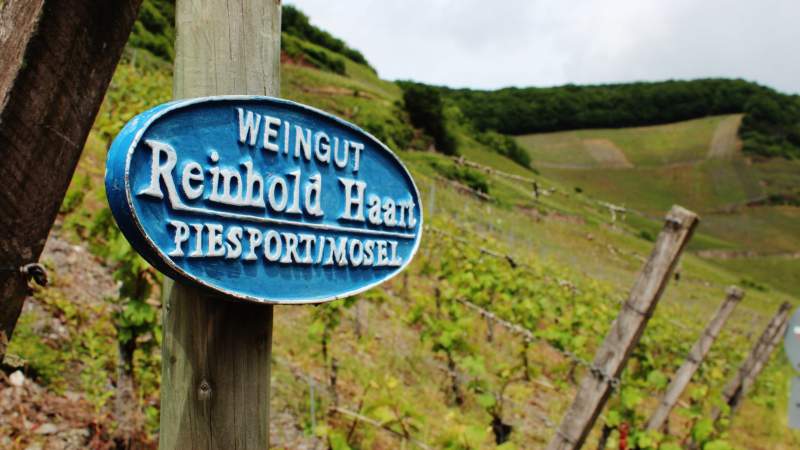 Weingut Reinhold Haart | Vineyard Plate | Bild