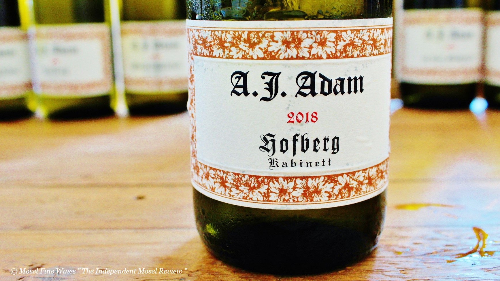 Weingut A.J. Adam Dhroner Hofberg Riesling Kabinett 2018 (Middle