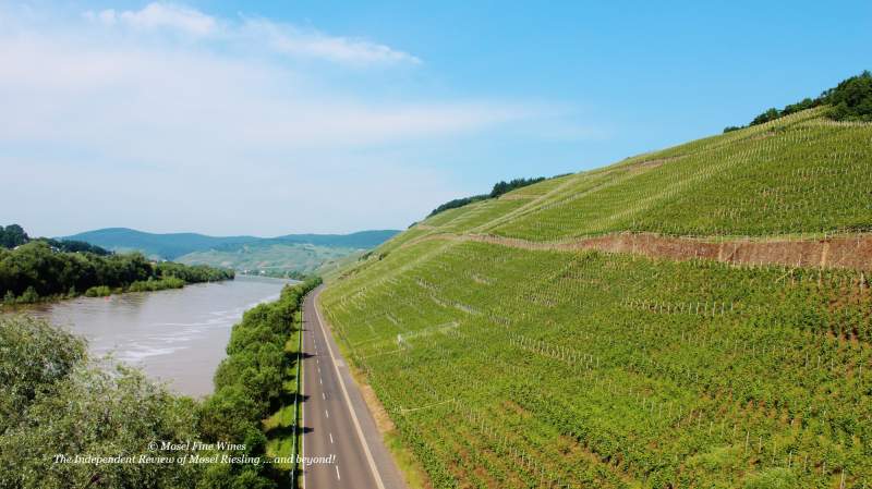 Brauneberger Juffer | Vineyard | Weinberg | Terroir | Picture | Bild