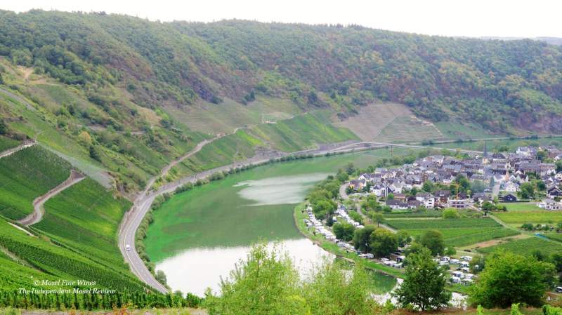 Wolfer Goldgrube | Vineyard | Weinberg | Terroir | Picture | Bild