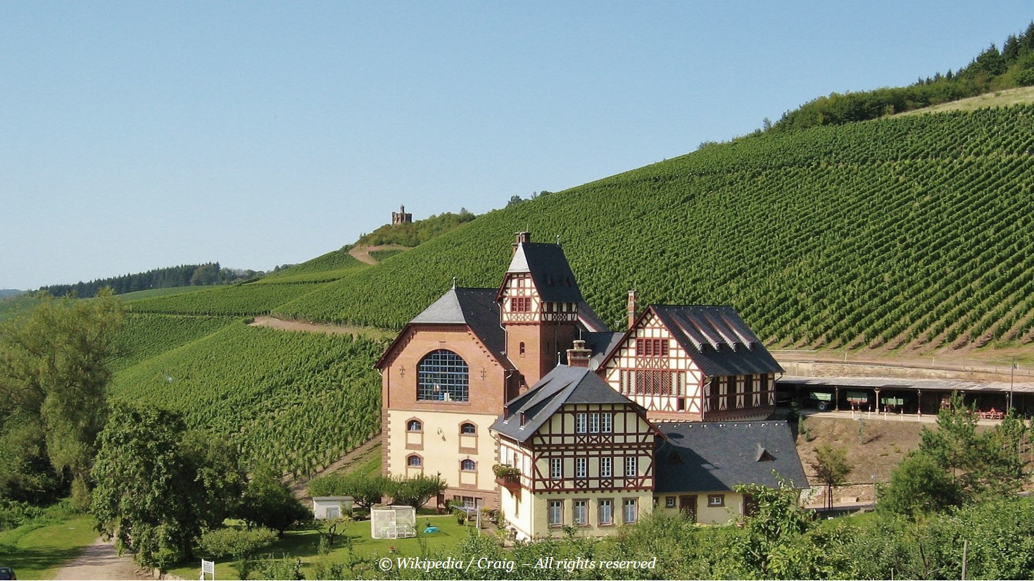 Weingut Staatsdomäne Trier | Avelsbach | Mosel Wine