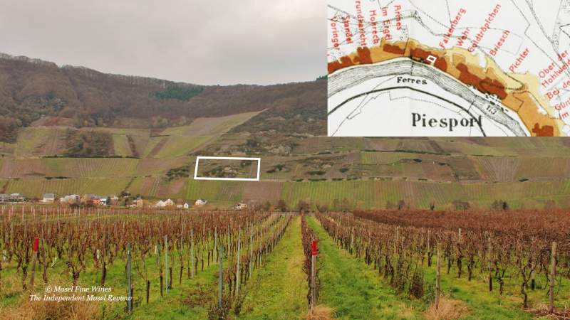 Piesporter Schubertslay | Mosel | Cellar