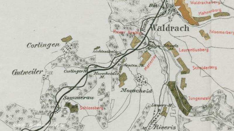 Weingut Karthauserhof | Waldrach | Laurentiusberg | Ruwer | Vineyard