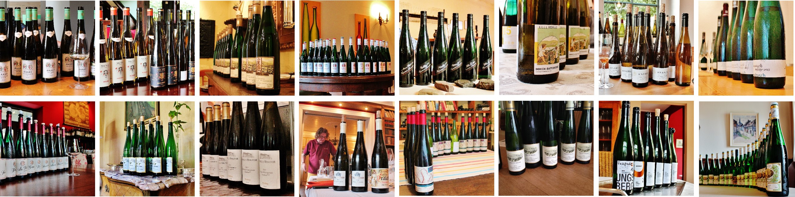 Mosel | Vintage Report 2015 | Picture | Photo