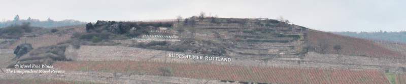 Rüdesheimer Berg Rottland | Vineyard | Picture | Bild