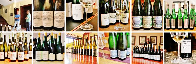 2016 Vintage Report | Mosel | Riesling | Wine | Picture