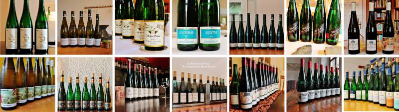 2016 Vintage Report | Mosel | Riesling | Wine | Picture