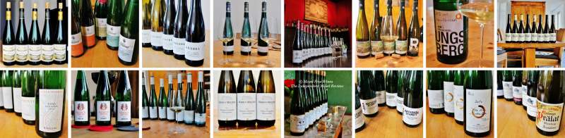 2017 Vintage Report | Mosel | Riesling | Wine | Picture