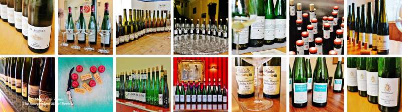 2018 Vintage Report | Mosel | Riesling | Wine | Picture