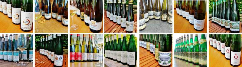 2019 Vintage Report | Mosel | Riesling | Wine | Picture