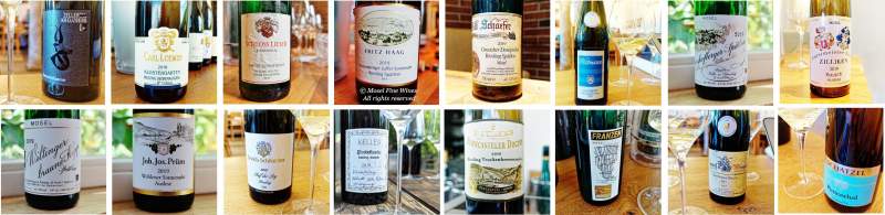 Annual Auctions | Trier | Bad Kreuznach | Germany | Picture | Mosel Wine