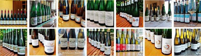 2019 Vintage Report | Mosel | Riesling | Look-Back | Vintage Highlights