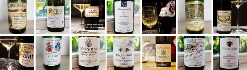 20 Years After Retrospective | 2001 Vintage | Riesling | Wine | Picture