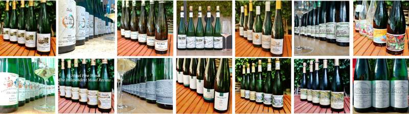 2020 Vintage Report | Mosel | Riesling | Wine | Picture