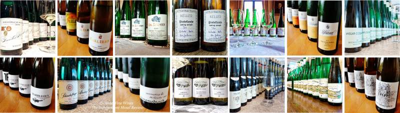 2020 Vintage Report | Mosel | Riesling | Wine | Picture