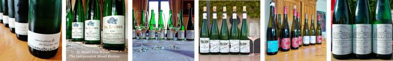 2020 Vintage Report | Mosel | Riesling | Look-Back | Vintage Highlights