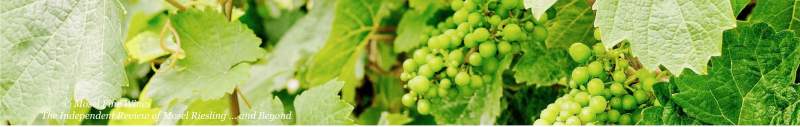 2021 Vintage Report | Mosel | Riesling | Wine | Picture