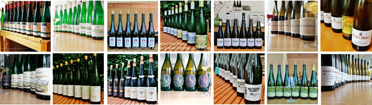 2022 Vintage Report | Mosel | Riesling | Wine | Picture