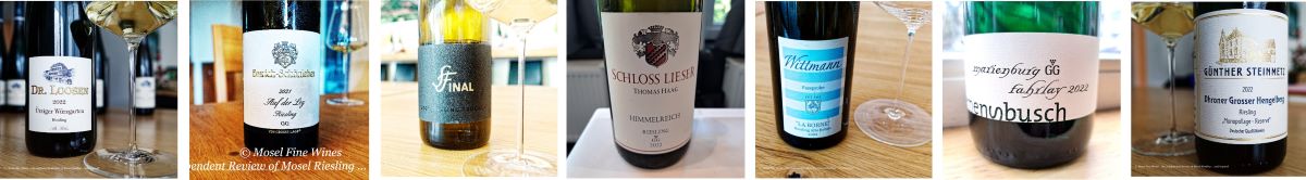 2022 dry German Riesling | VDP | Grosses Gewächs | Riesling | Wine | Picture