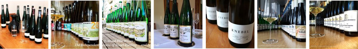 2022 Vintage Report | Mosel | Riesling | Wine | Picture