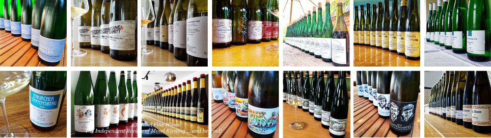 2023 Vintage Report | Mosel | Riesling | Wine | Picture