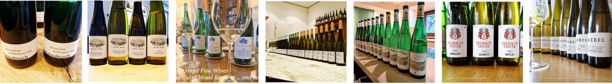 2023 Vintage Report | Mosel | Riesling | Wine | Picture