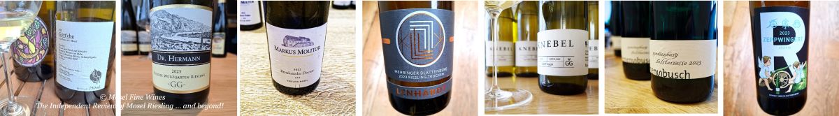 2023 dry German Riesling | VDP | Grosses Gewächs | Riesling | Wine | Picture