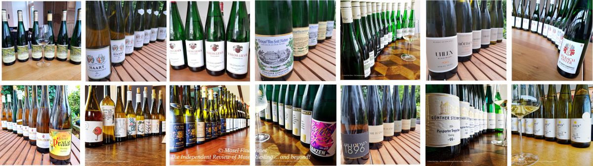2024 Vintage Report | Mosel | Riesling | Wine | Picture