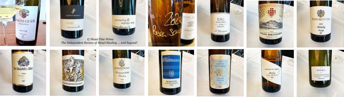 2024 dry German Riesling | VDP | Grosses Gewächs | Riesling | Wine | Picture
