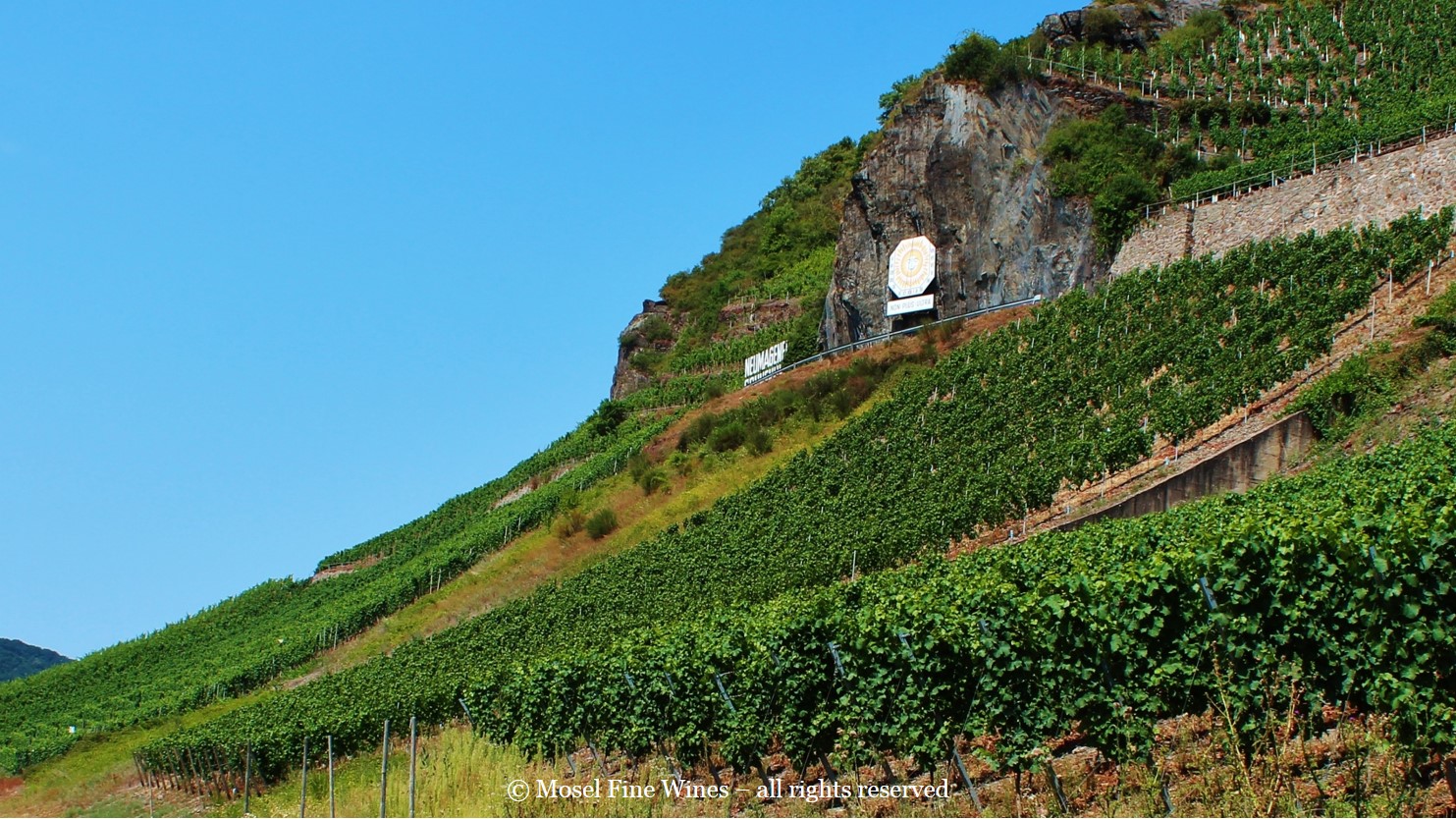 Neumagener Sonnenuhr - Picture of the vineyard