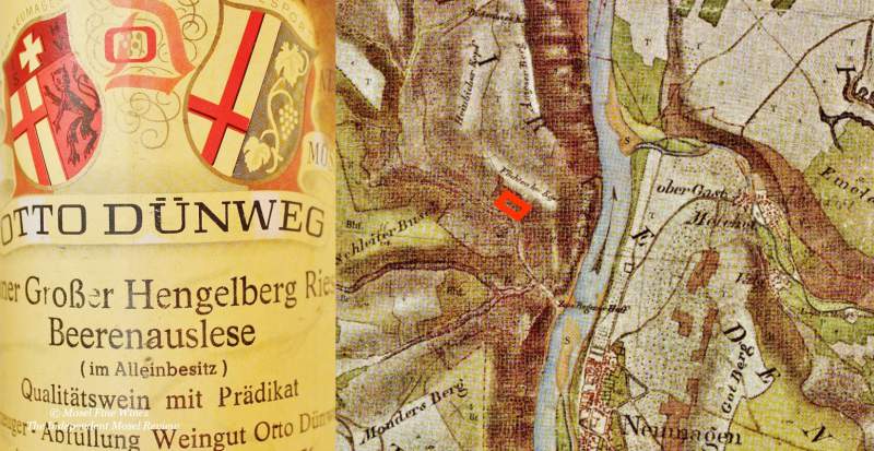 Dhroner Hengelberg | Mosel | Günther Steinmetz | Vineyard