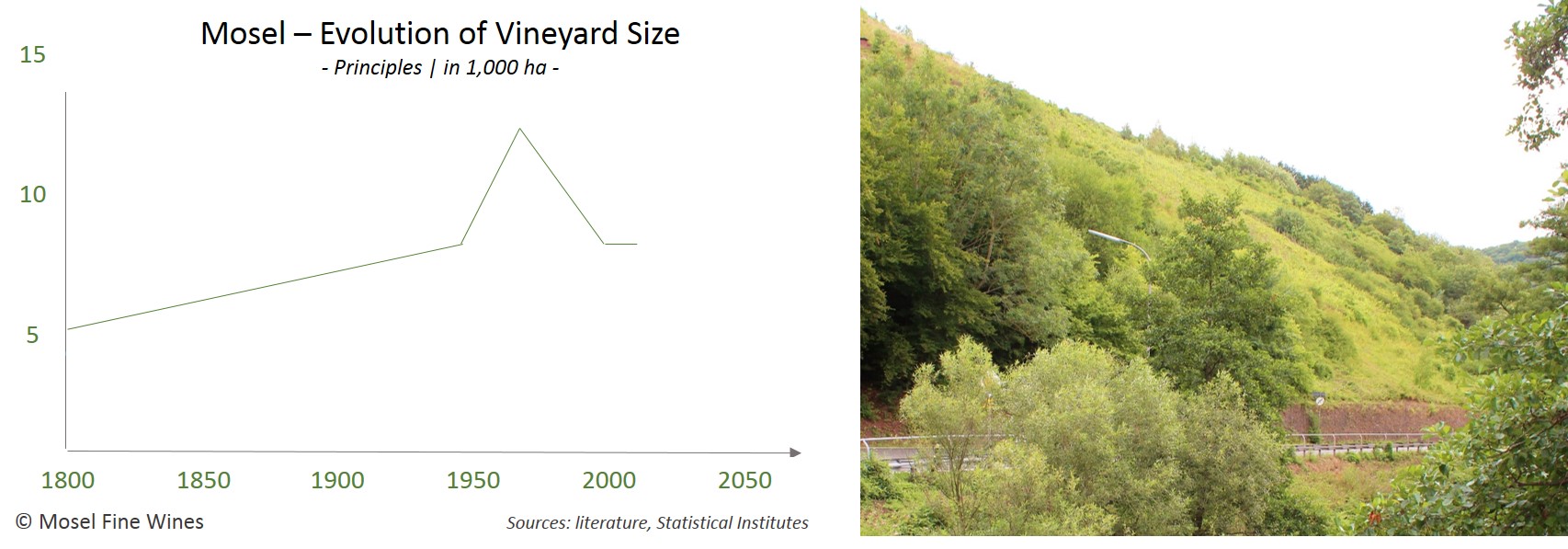 Mosel Vineyards | Evolution of Vineyard Area 1800-2015
