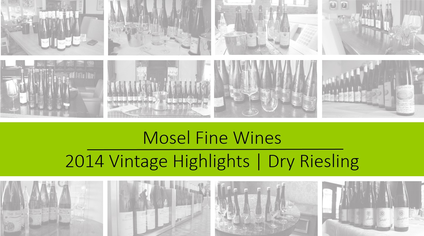 Mosel Vintage 2014 | Off-Dry Riesling Highlights