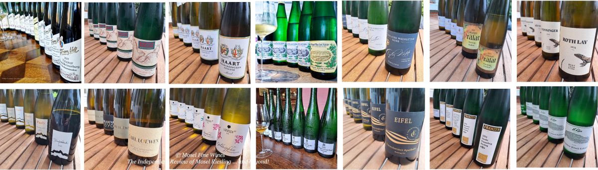 2025 Vintage Report | Mosel | Riesling | Wine | Picture