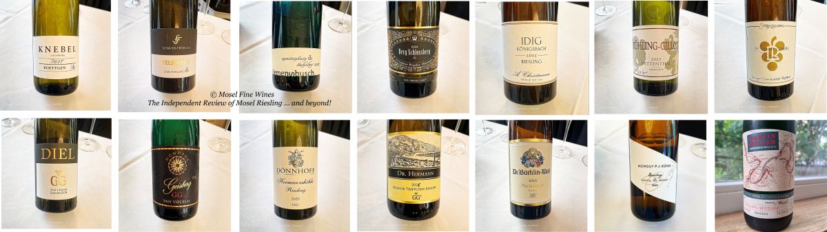 2025 dry German Riesling | VDP | Grosses Gewächs | Riesling | Wine | Picture